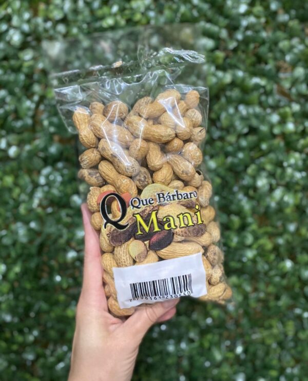 MANI CON CASCARA 200 GR