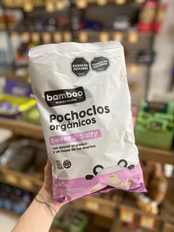 POCHOCLOS ORGANICOS SAL MARINA Y AZUCAR X 80 GR