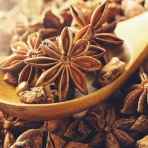 ANIS ESTRELLADO X 20 GR