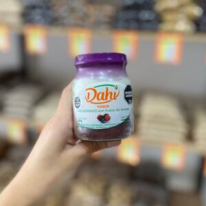 YOGURT DESCREMADO DAHI COLCHON DE FRUTAS X 190GR